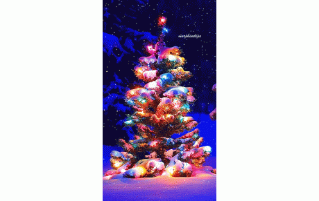 TIRAGE DU JEU CONCOURS: ILS ONT GAGNES!